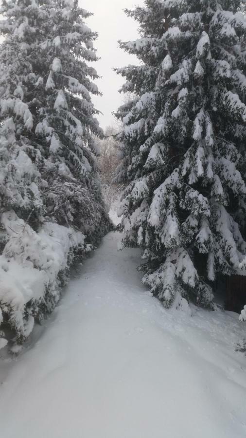 Chata Línia Kokava nad Rimavicou Exterior foto